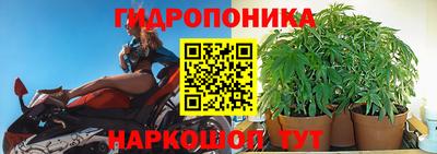 прущие грибы Наро-Фоминск