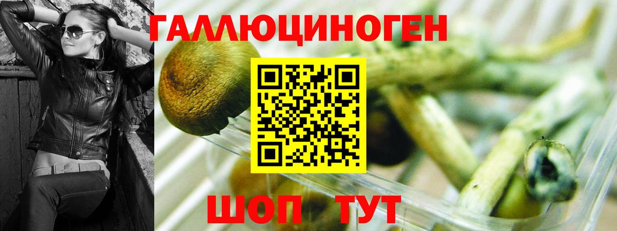 Галлюциногенные грибы прущие грибы Сочи