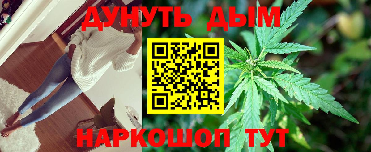 Шишки марихуана планчик  Шишки марихуана OG Kush  Вход с VPN  Сочи  Марихуана гибрид 
